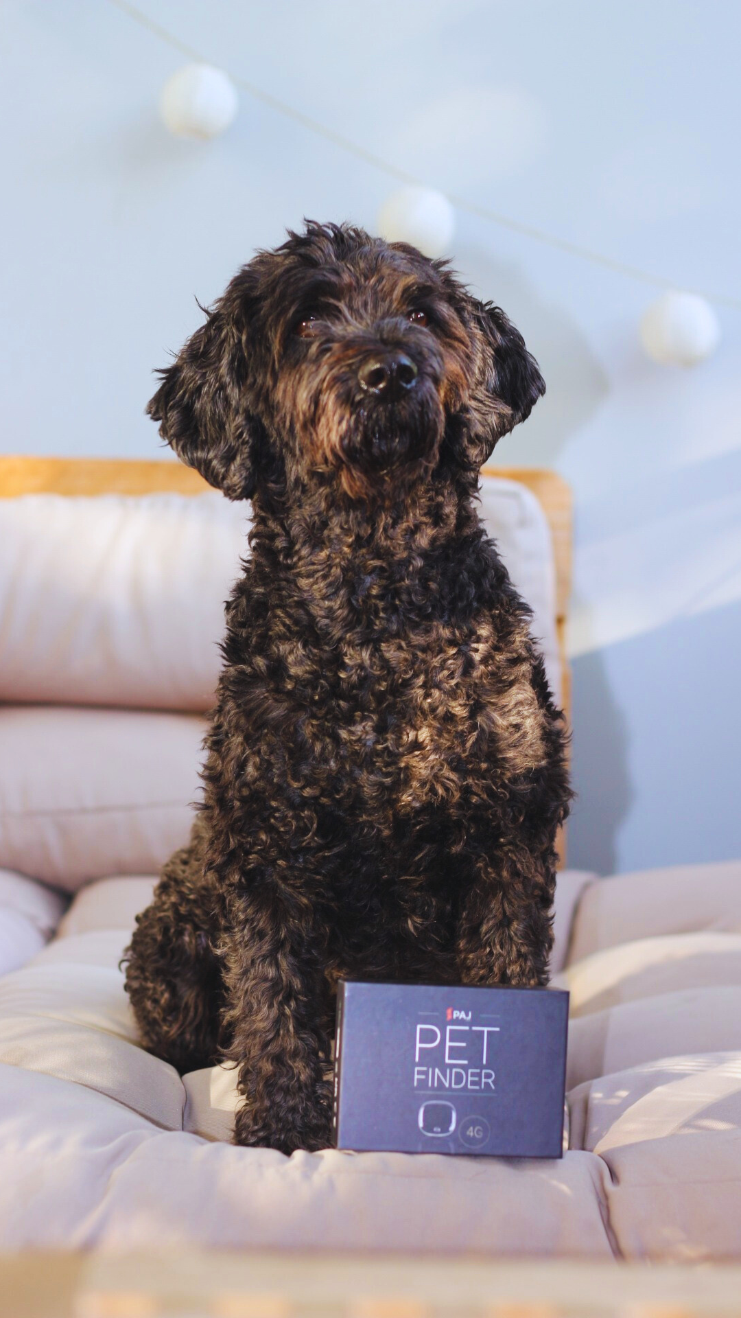 Localizzatore GPS per cani