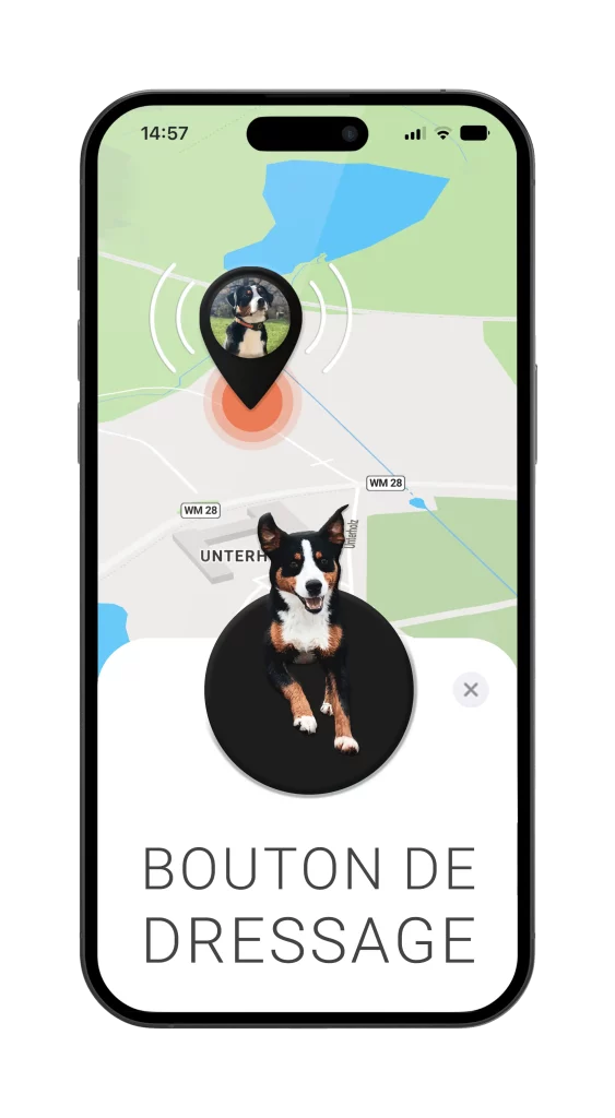 Localizzatore GPS per cani