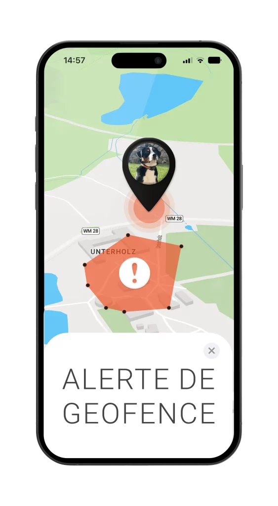 Localizzatore GPS Leggero Per Cani, Bagagli, Bambini E Anziani – Copertura Mondiale, Batteria Lunga Durata, Compatibile Con Smartphone E Smartwatch