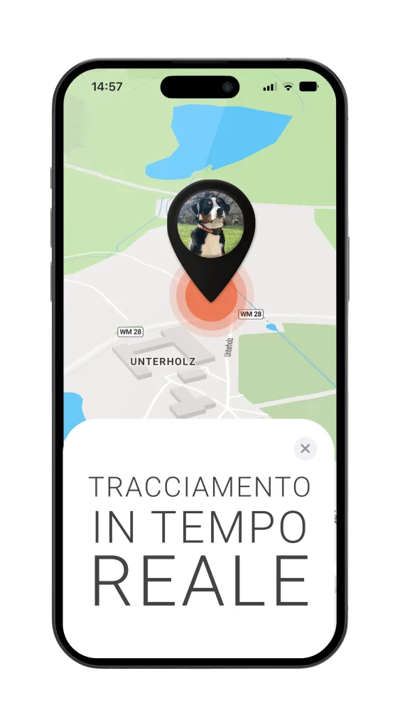 Localizzatore GPS per cani