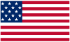 Flag Icon USA
