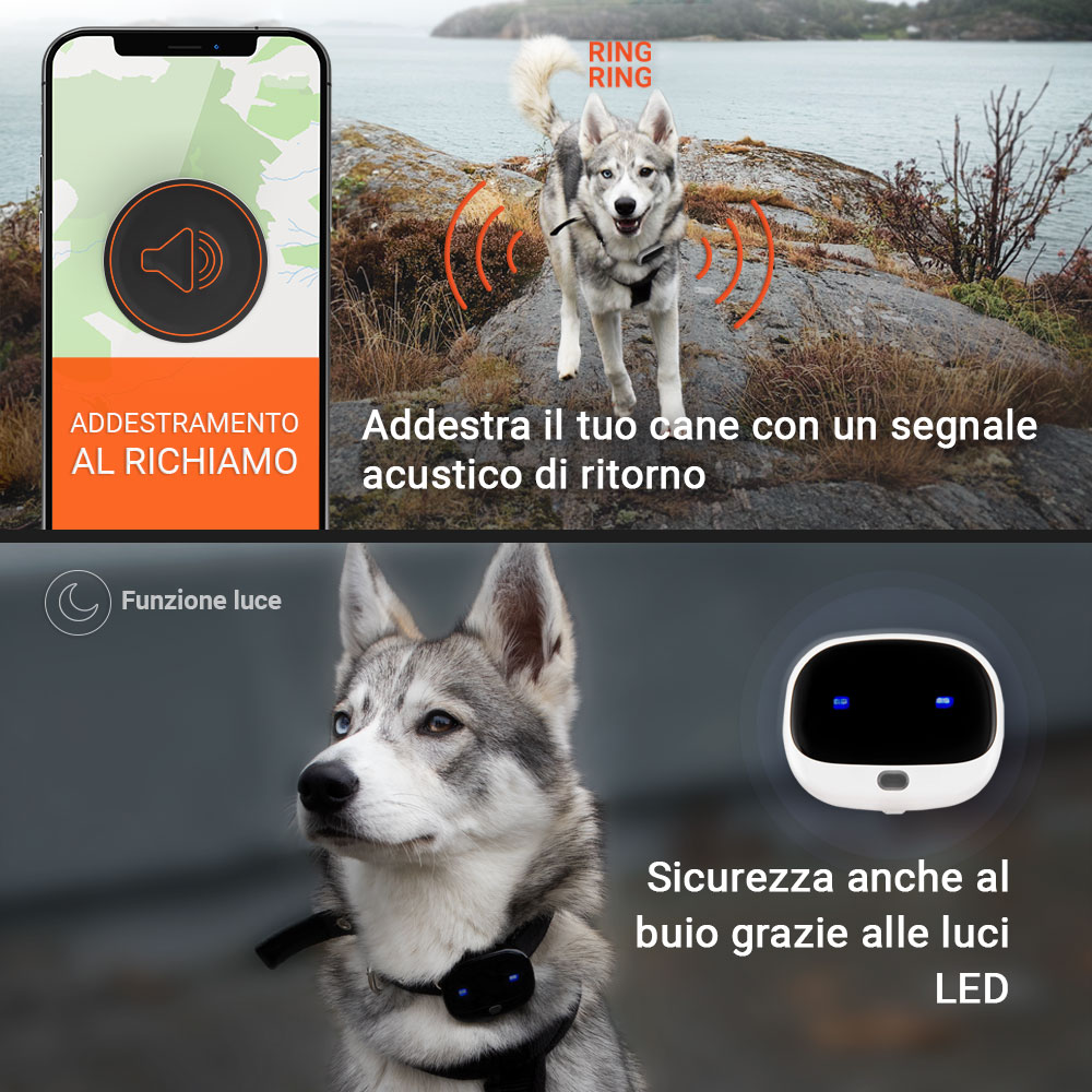 PET Finder 4G Tracker GPS - Mantieni il tuo cane al sicuro