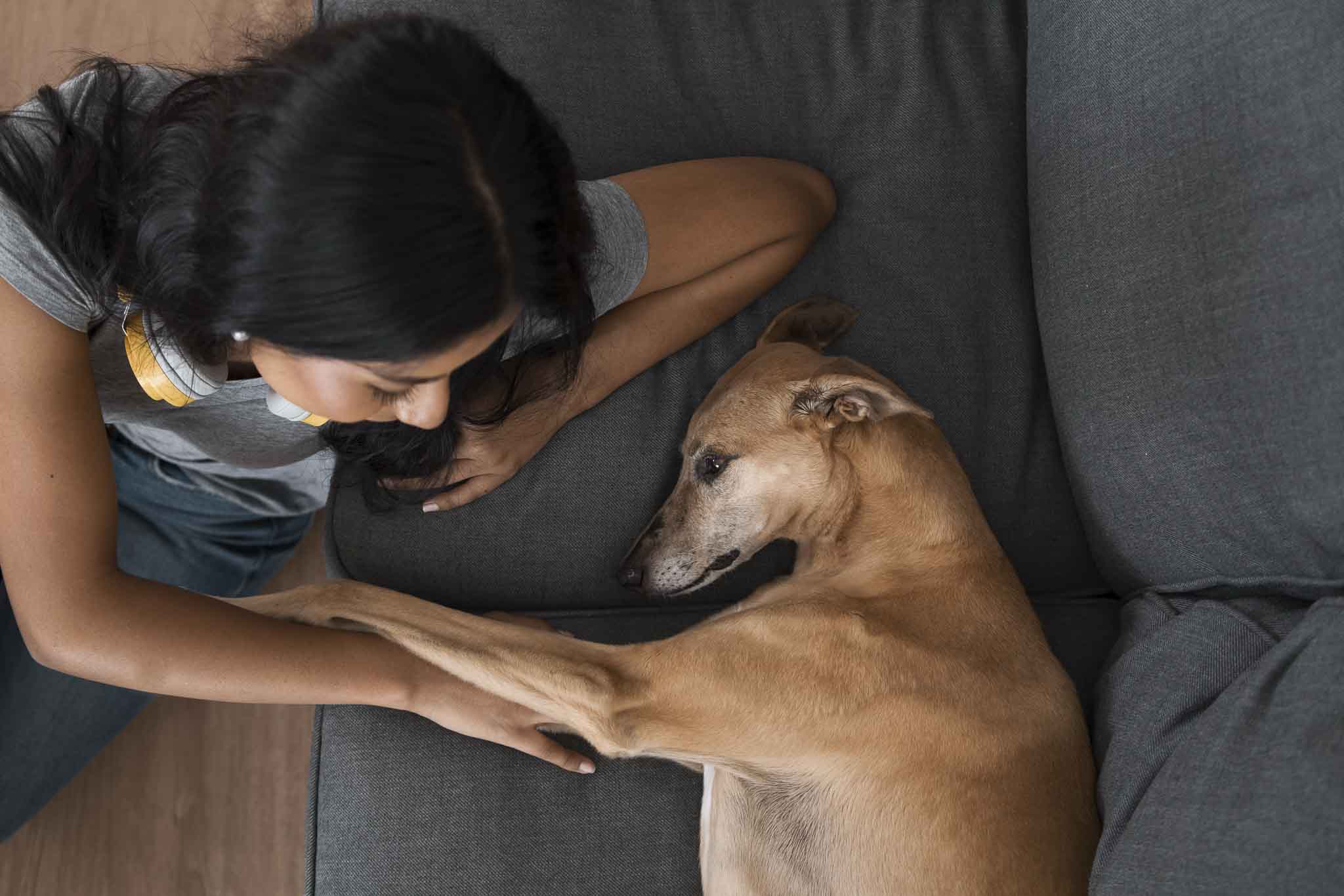 Preparare il cane al ritorno dalle vacanze