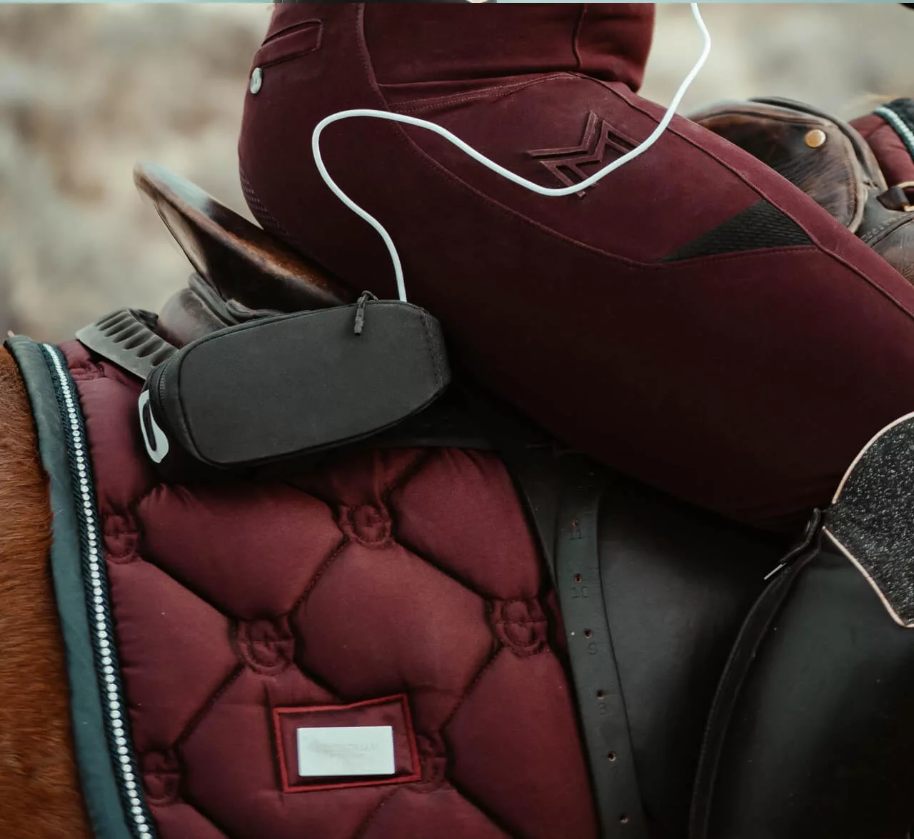 Powerbank in sella al cavallo