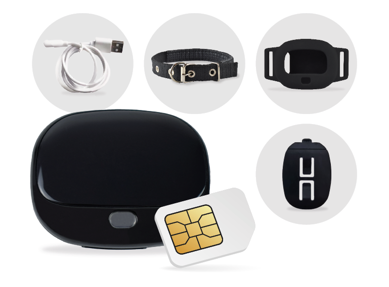 Immagine del prodotto con il contenuto della scatola PAJ PET Finder 4G