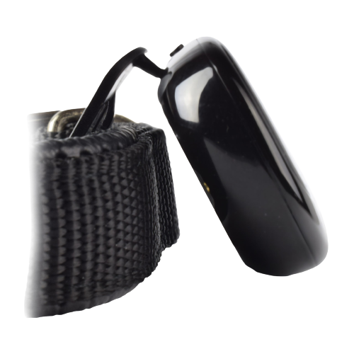 Immagine del prodotto di lato con supporto e collare PAJ PET Finder 4G nero