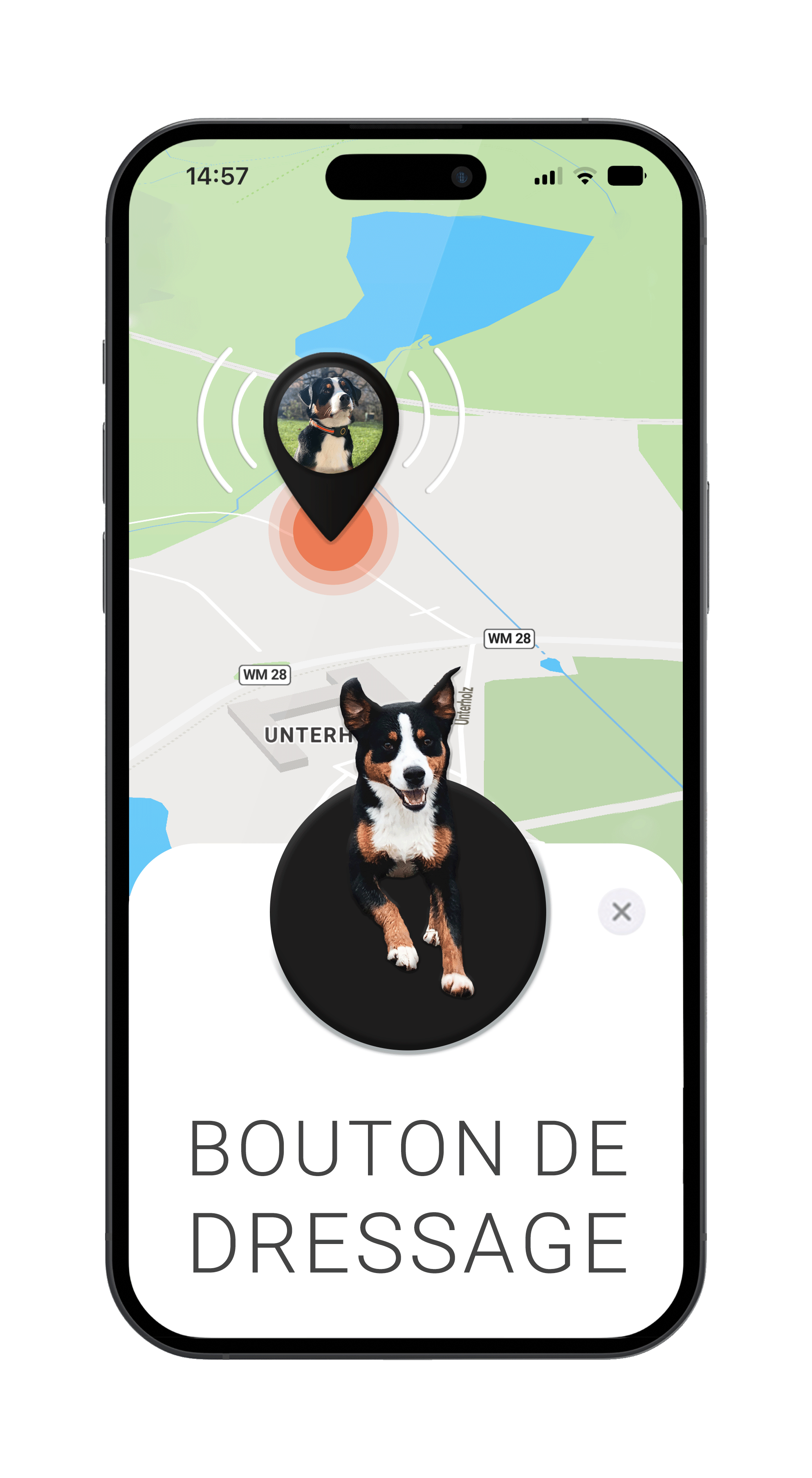 Localizzatore GPS per cani con pulsante di addestramento