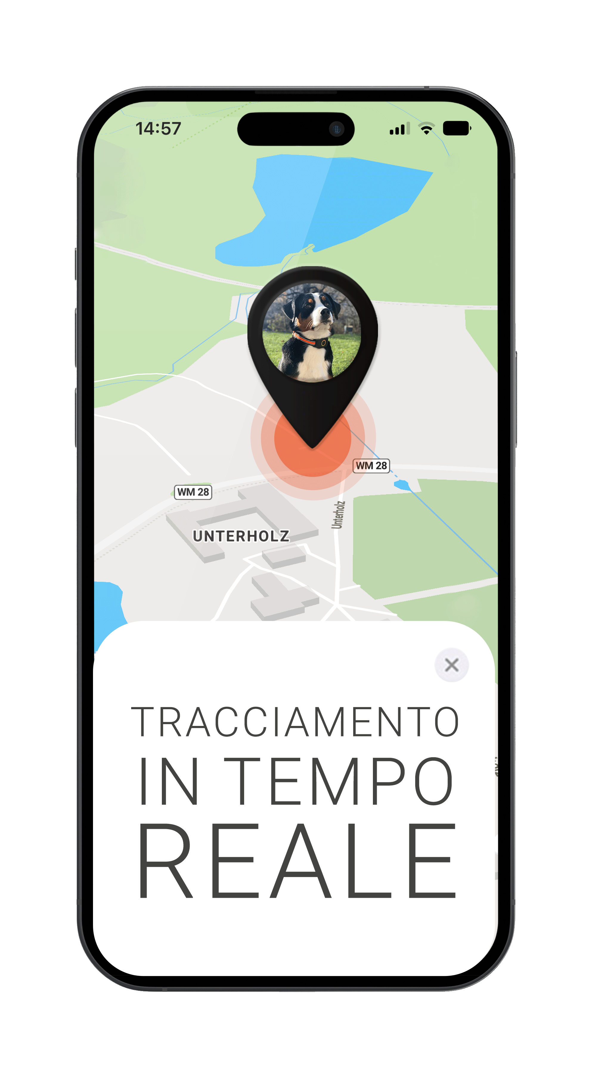Localizzatore GPS per cani con tracciamento in tempo reale