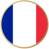 Bandiera della Francia - Istruzioni d'uso