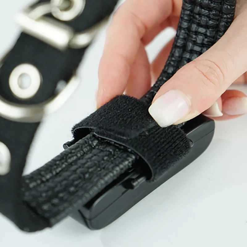 GPS PAJ fissato al collare con cinturino velcro