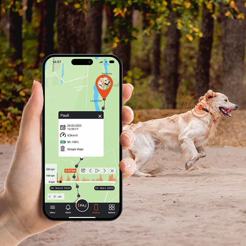 tracciamento percorsi del cane da app con GPS PAJ