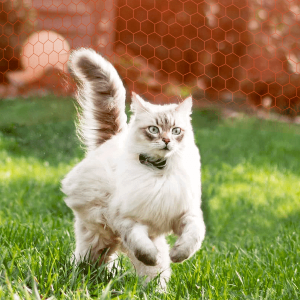 localizzatori GPS per gatti
