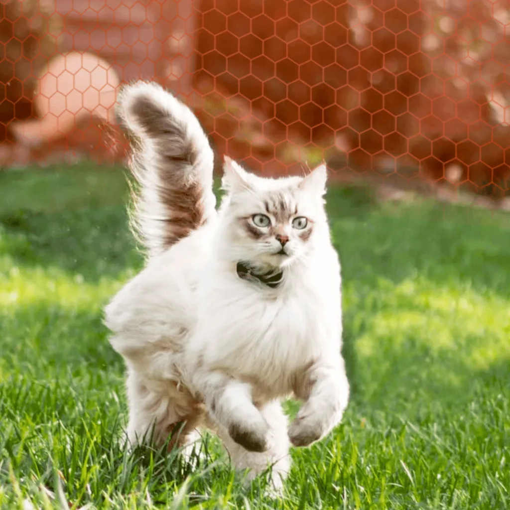 localizzatori GPS per gatti
