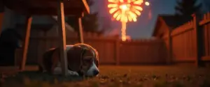 Come un GPS può evitare fughe degli animali per i botti di Capodanno