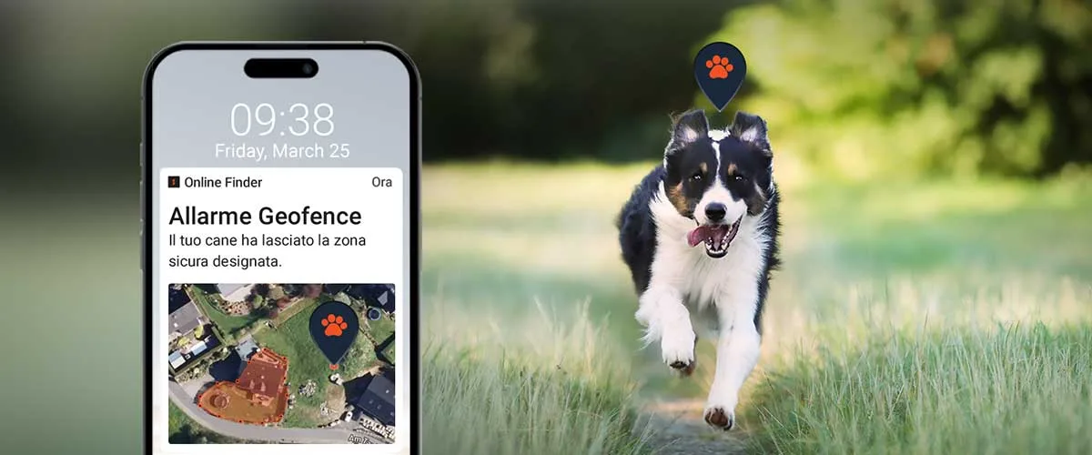 GPS per cani per viaggi, gite all'aria aperta con funzione geofence