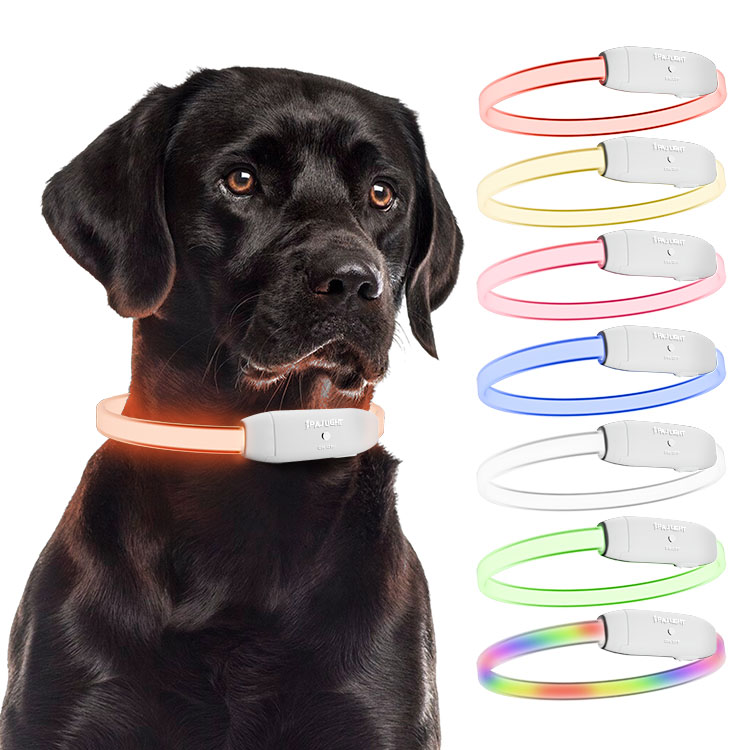 "PAJ LIGHT LED Dog Collar | Waterproof & Adjustable | Up to 10h Visibility | Lightweight & USB Rechargeable | 