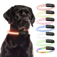 PAJ LIGHT nero: PAJ GPS LED collare per cani