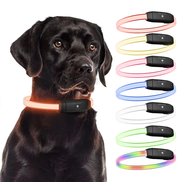 PAJ LIGHT nero: PAJ GPS LED collare per cani