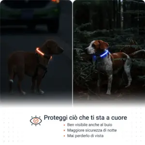 Caratteristiche PAJ LIGHT nero: PAJ GPS LED collare per cani