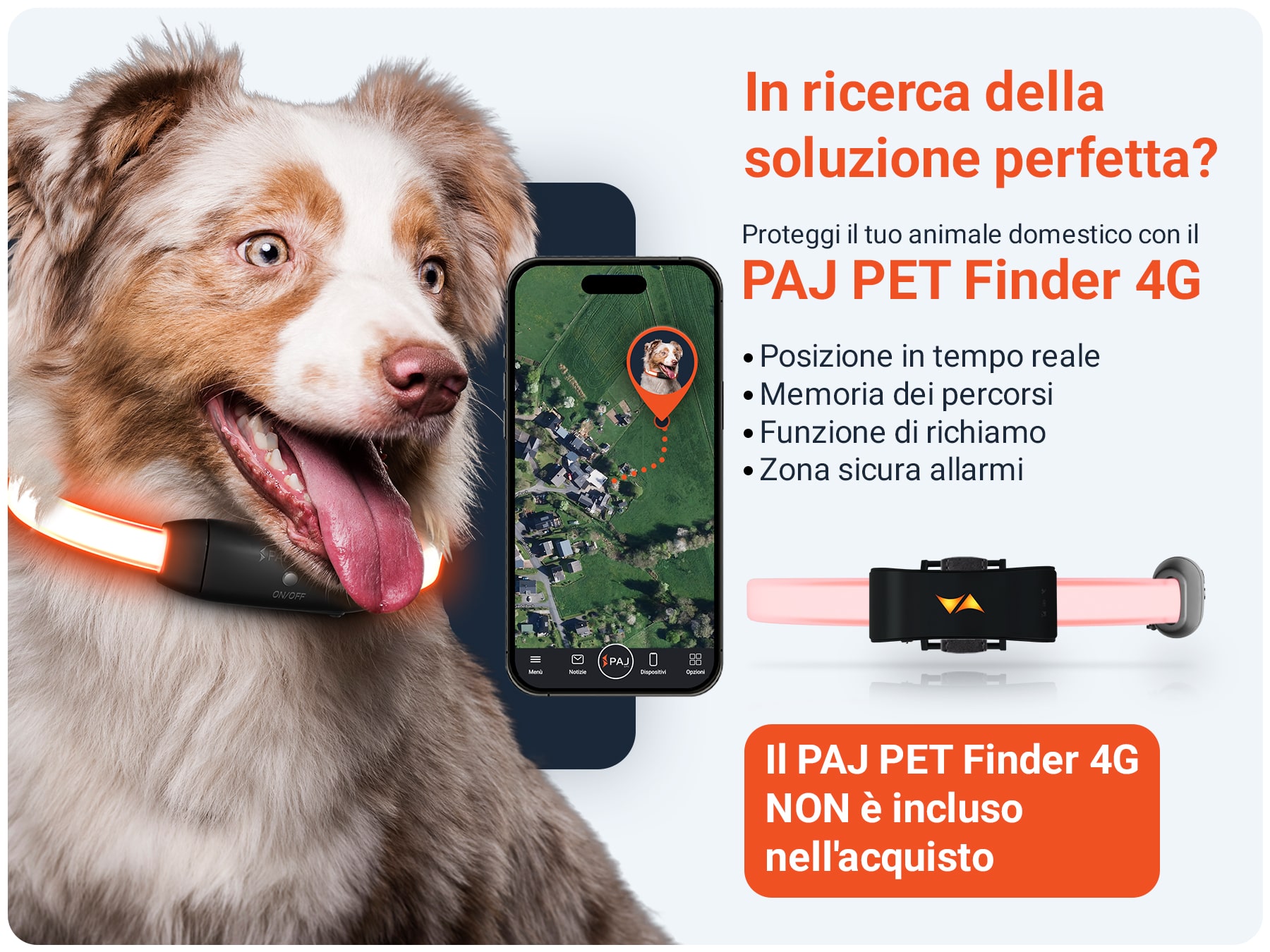 Combinazione PET Finder PAJ LIGHT nero: PAJ GPS LED collare per cani