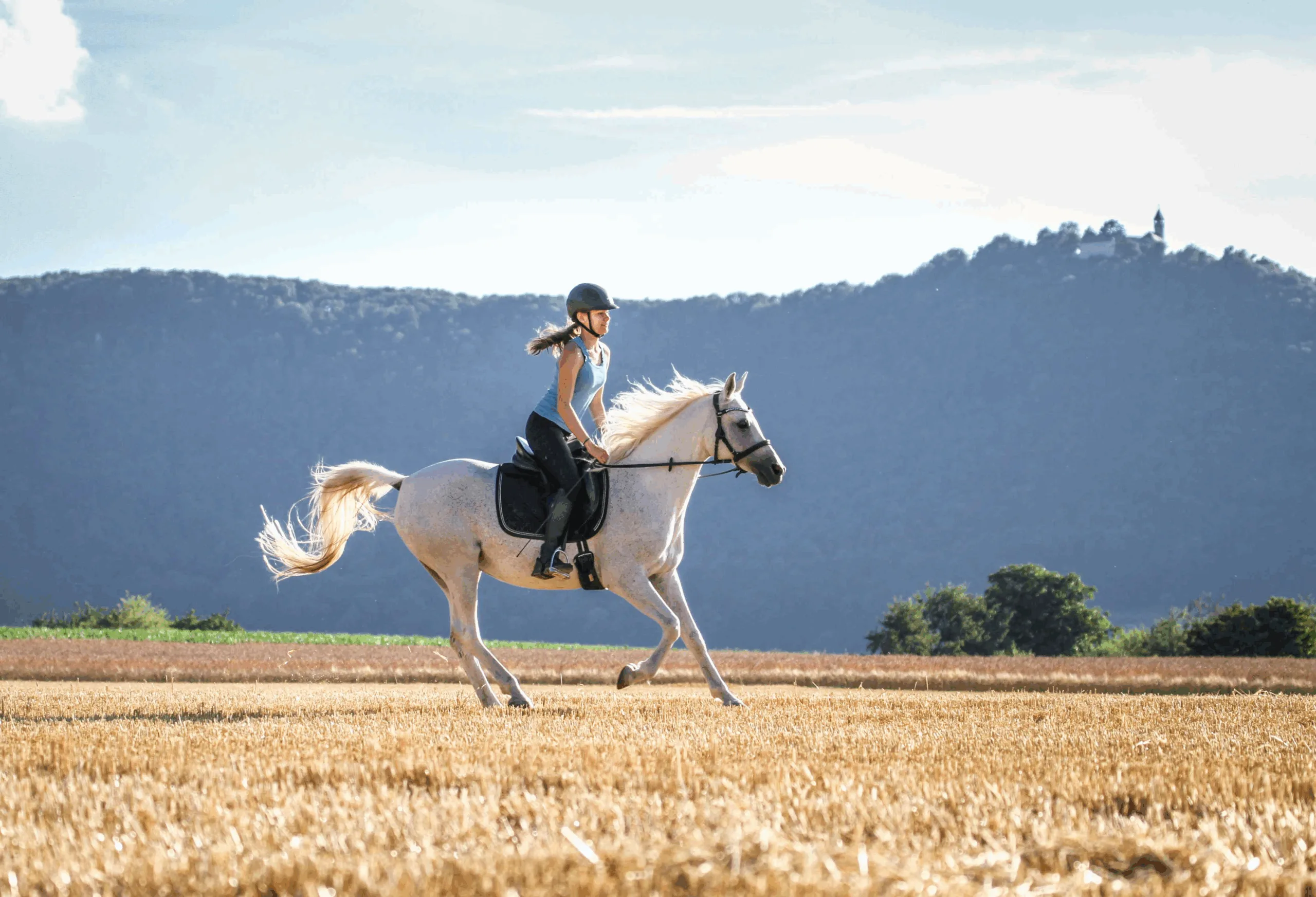 PAJ stories People finder