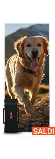 Saldi localizzatori gps per sottopelle PAJ GPS