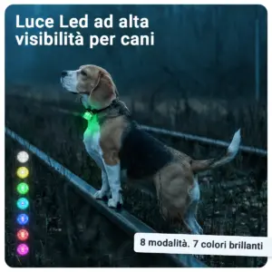Gallery Images_PAJ Light Mini - IT - KB - 05 March 2026 - 2. 8 Modes
