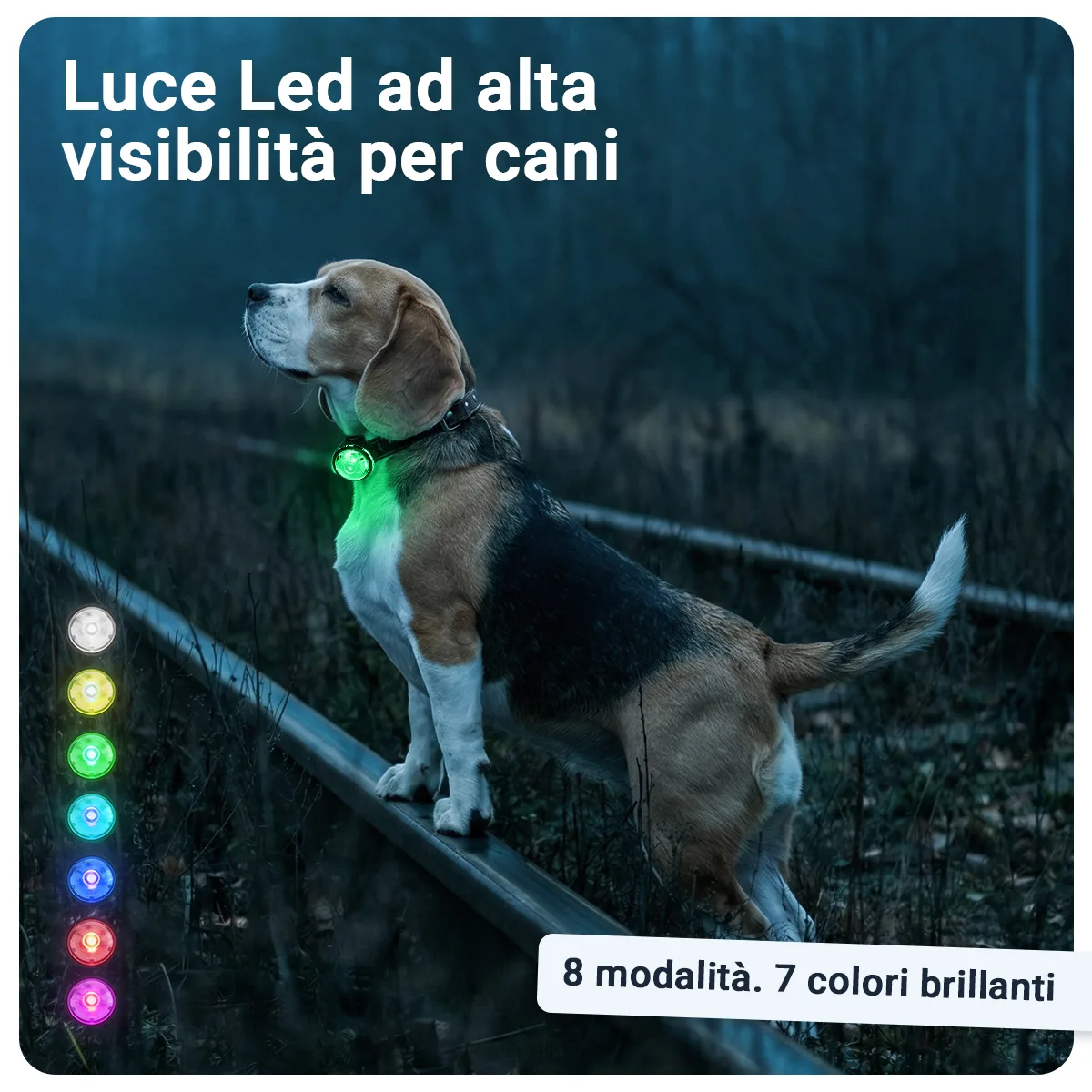 Gallery Images_PAJ Light Mini - IT - KB - 05 March 2026 - 2. 8 Modes