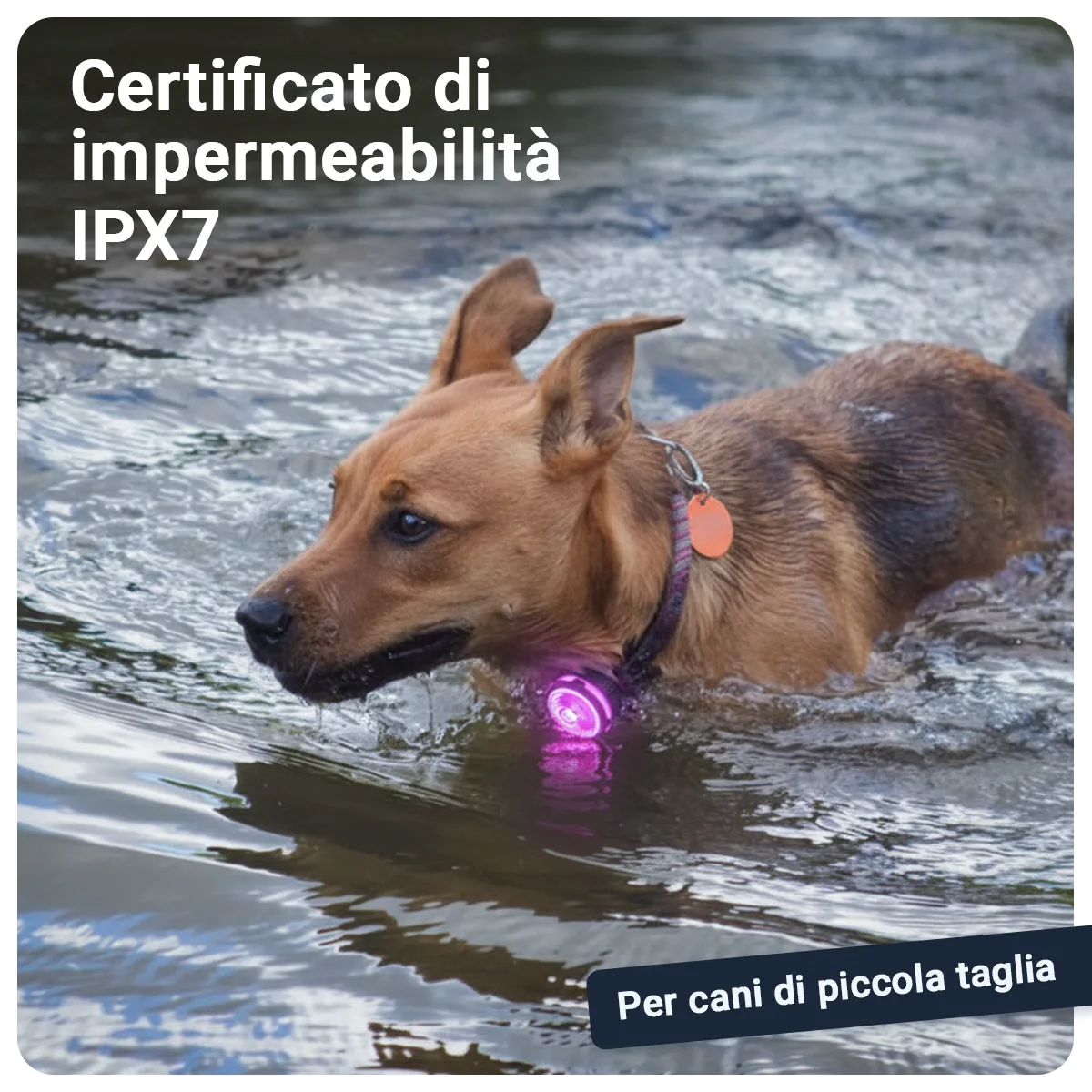 Gallery Images_PAJ Light Mini - IT - KB - 05 March 2026 - 3. IPX7