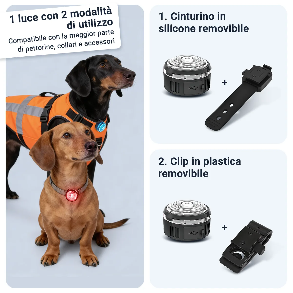 Gallery Images_PAJ Light Mini - IT - KB - 05 March 2026 - 4. Collars and clips