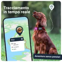 PET Finder 4G Mini
