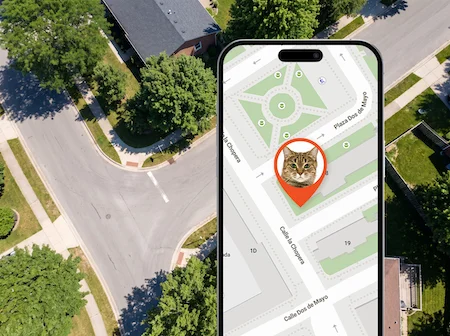 pet finder mini 4g attivato sullo smartphone per cercare il gatto