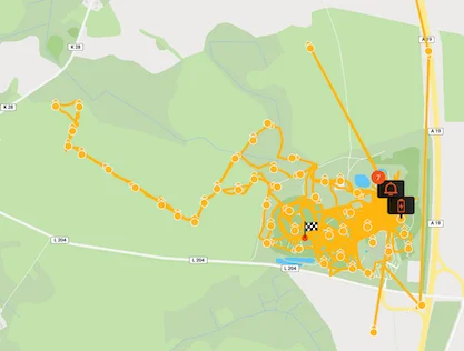 Memoria percorsi e mappa movimenti gatto